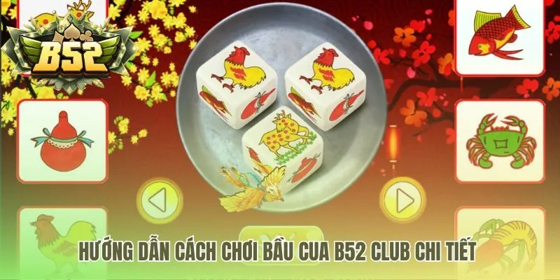 Hướng dẫn cách chơi chi tiết qua 6 bước thao tác trực quan