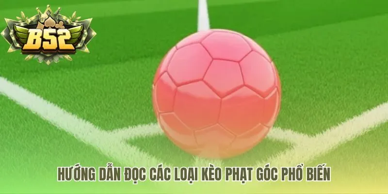 Hiểu rõ các cược phổ biến như Tài Xỉu Chấp và 1X2