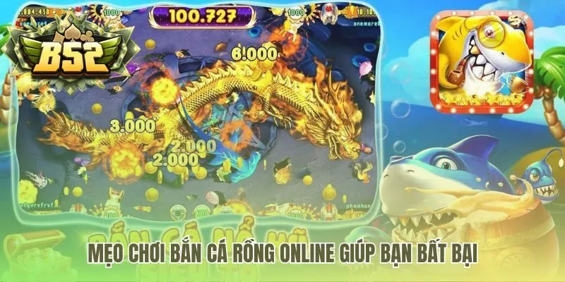 Chiến thuật săn cá hiệu quả giúp bạn làm chủ đại dương